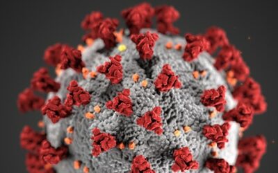 Coronavirus – Mesures de prévention